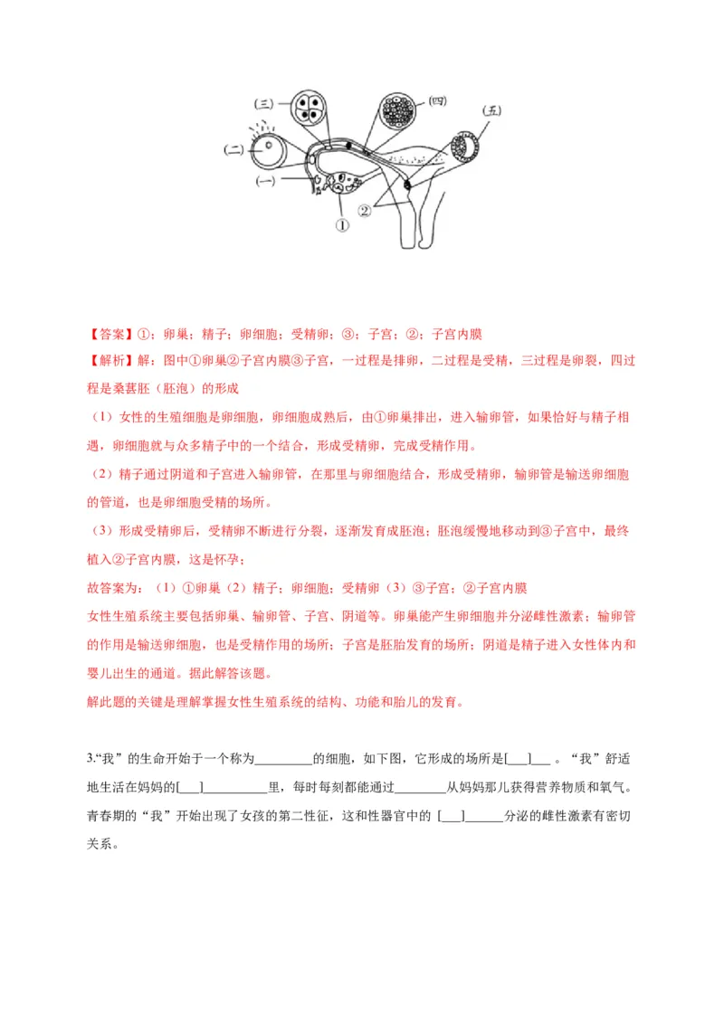 特训05填空题（20题）-（尖子生专用）（解析版）_初中全科电子版试卷练习试题_生物_生物人教版7下练习_人教生物7年级下专项练习16份