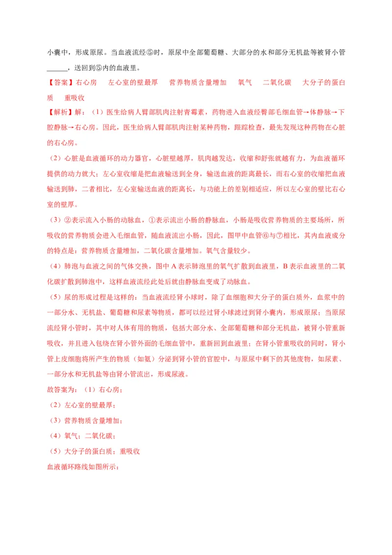 特训05填空题（20题）-（尖子生专用）（解析版）_初中全科电子版试卷练习试题_生物_生物人教版7下练习_人教生物7年级下专项练习16份