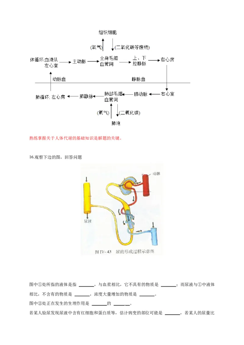 特训05填空题（20题）-（尖子生专用）（解析版）_初中全科电子版试卷练习试题_生物_生物人教版7下练习_人教生物7年级下专项练习16份