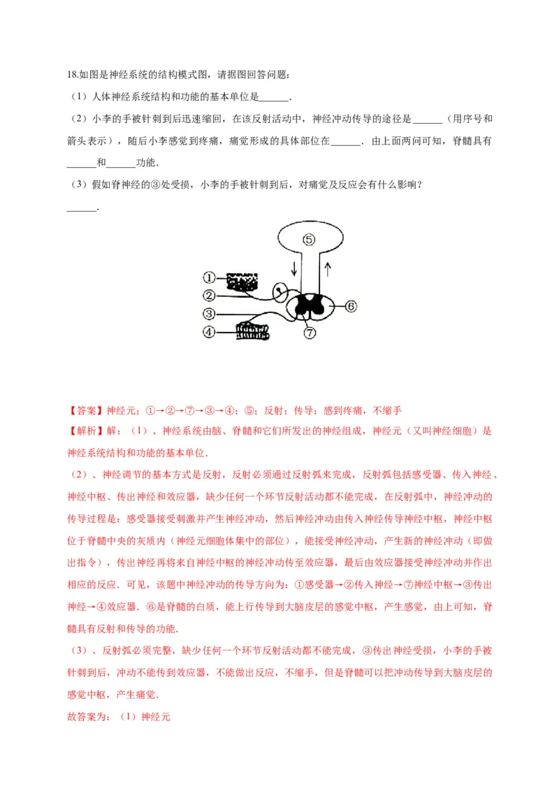 特训05填空题（20题）-（尖子生专用）（解析版）_初中全科电子版试卷练习试题_生物_生物人教版7下练习_人教生物7年级下专项练习16份