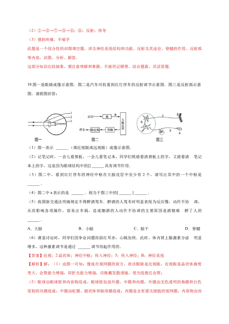 特训05填空题（20题）-（尖子生专用）（解析版）_初中全科电子版试卷练习试题_生物_生物人教版7下练习_人教生物7年级下专项练习16份