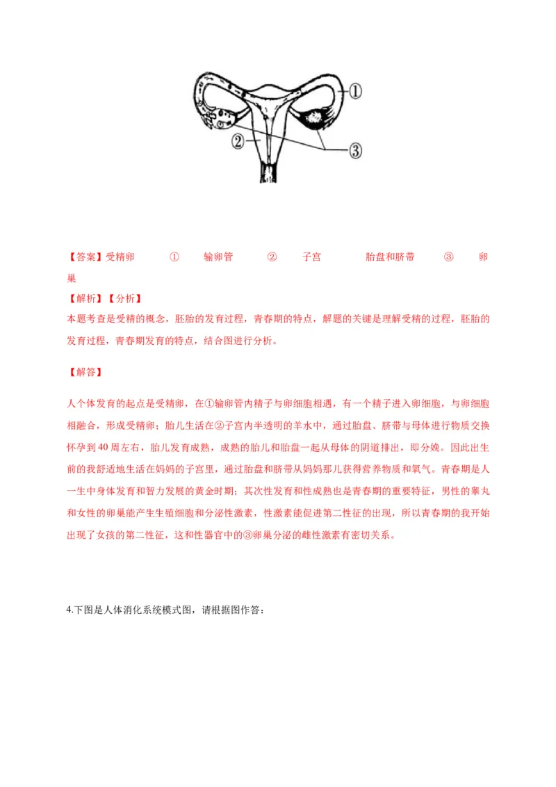 特训05填空题（20题）-（尖子生专用）（解析版）_初中全科电子版试卷练习试题_生物_生物人教版7下练习_人教生物7年级下专项练习16份