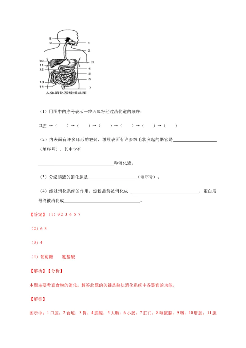特训05填空题（20题）-（尖子生专用）（解析版）_初中全科电子版试卷练习试题_生物_生物人教版7下练习_人教生物7年级下专项练习16份