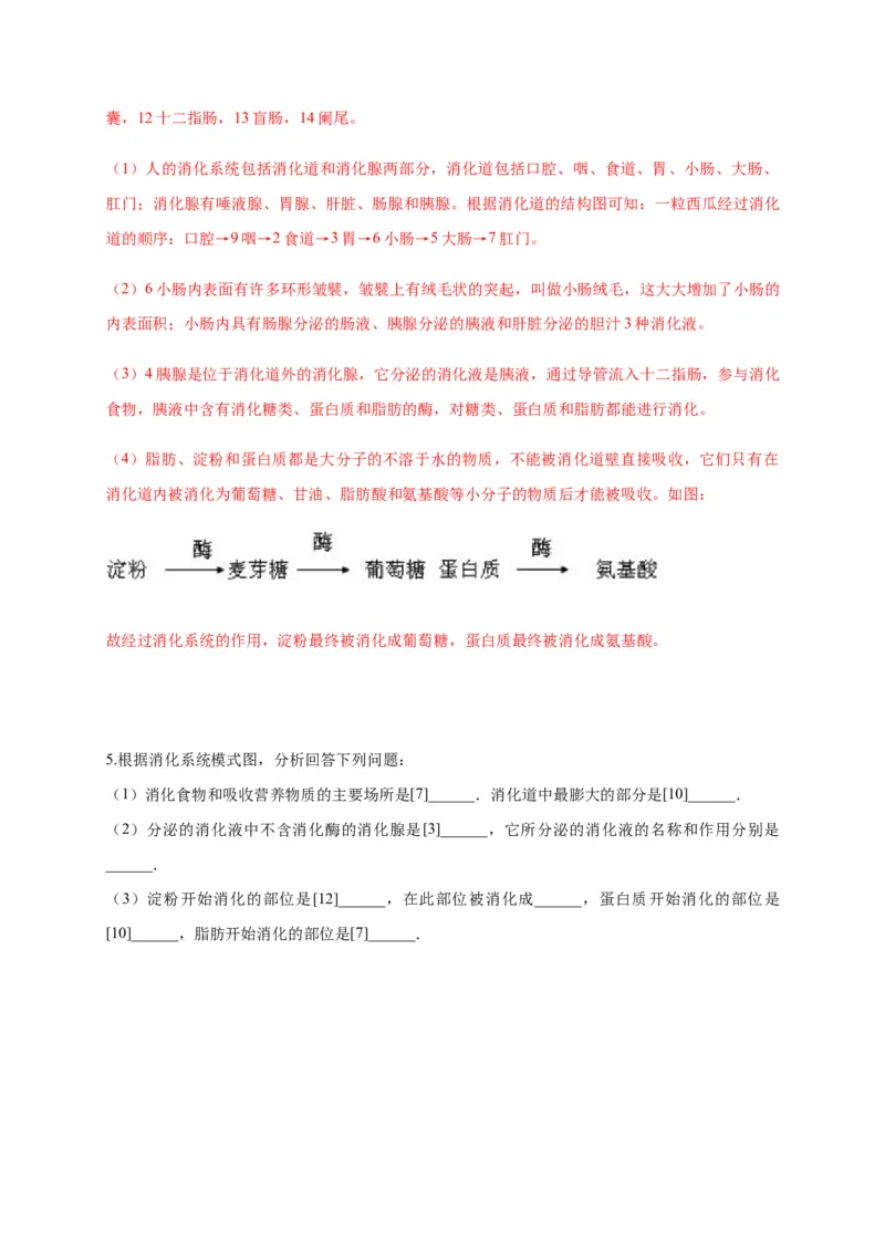 特训05填空题（20题）-（尖子生专用）（解析版）_初中全科电子版试卷练习试题_生物_生物人教版7下练习_人教生物7年级下专项练习16份
