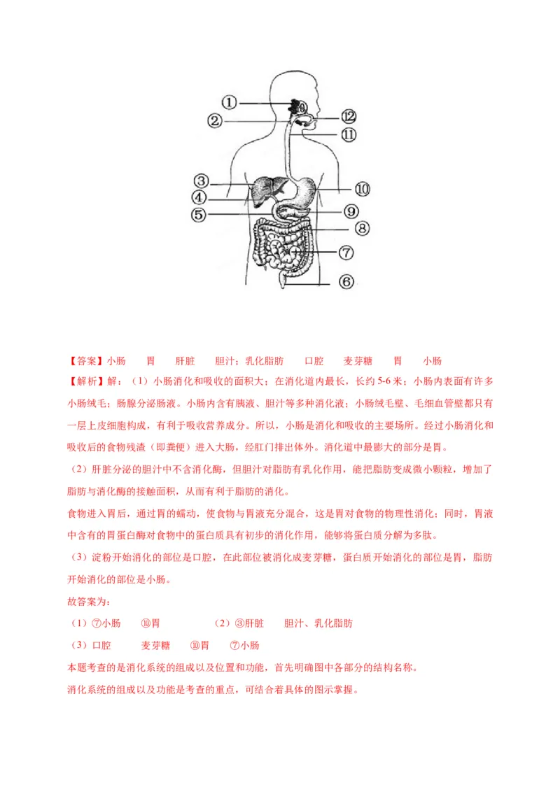 特训05填空题（20题）-（尖子生专用）（解析版）_初中全科电子版试卷练习试题_生物_生物人教版7下练习_人教生物7年级下专项练习16份