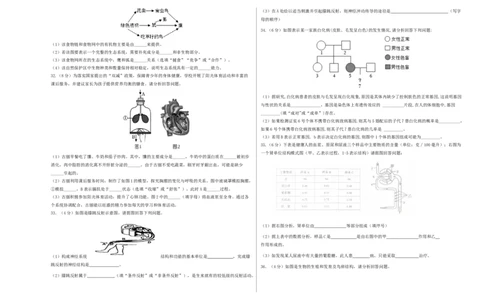 生物（新疆卷）（考试版A3）_初中全科电子版试卷练习试题_生物_2024中考模拟题生物(1)_三模（37套）_生物（新疆卷）