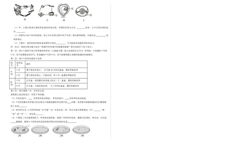生物（新疆卷）（考试版A3）_初中全科电子版试卷练习试题_生物_2024中考模拟题生物(1)_三模（37套）_生物（新疆卷）