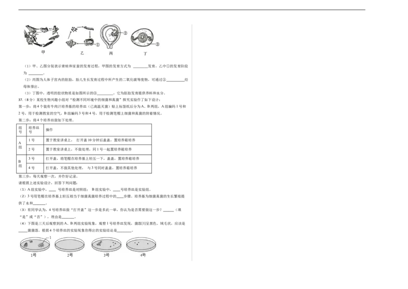 生物（新疆卷）（考试版A3）_初中全科电子版试卷练习试题_生物_2024中考模拟题生物(1)_三模（37套）_生物（新疆卷）