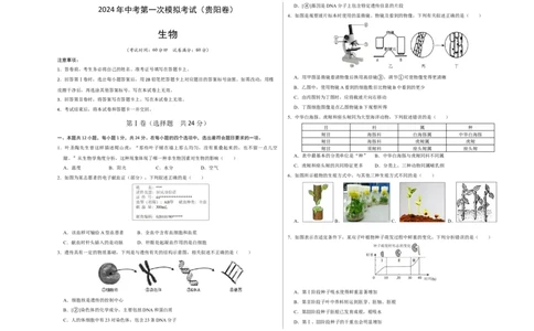 生物（贵阳卷）（考试版A3）_初中全科电子版试卷练习试题_生物_2024中考模拟题生物(1)_一模_生物（贵阳卷）-2024年中考第一次模拟考试