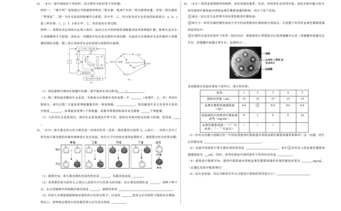 生物（贵阳卷）（考试版A3）_初中全科电子版试卷练习试题_生物_2024中考模拟题生物(1)_一模_生物（贵阳卷）-2024年中考第一次模拟考试