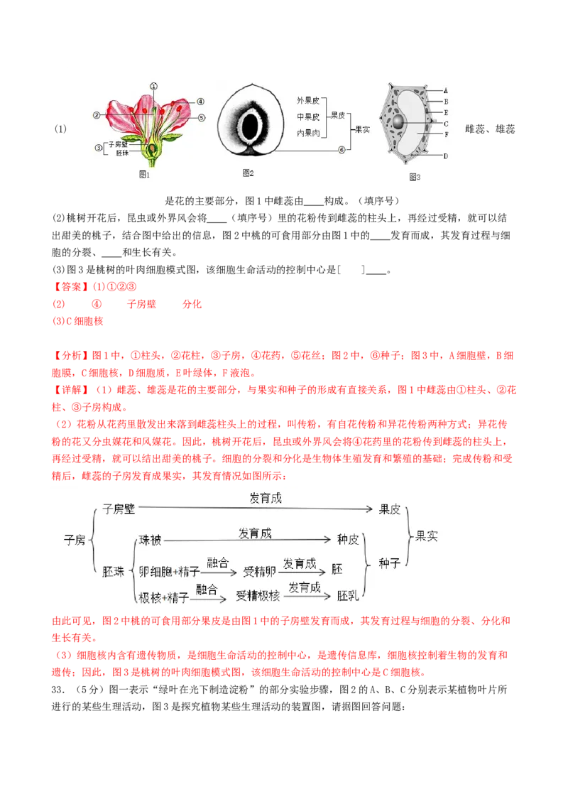 生物（云南卷）（全解全析）_初中全科电子版试卷练习试题_生物_2024中考模拟题生物(1)_三模（37套）_生物（云南卷）
