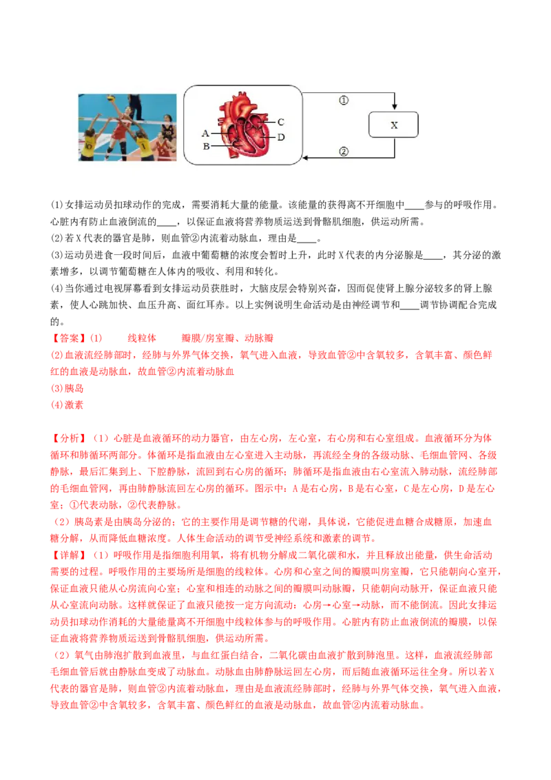 生物（云南卷）（全解全析）_初中全科电子版试卷练习试题_生物_2024中考模拟题生物(1)_三模（37套）_生物（云南卷）