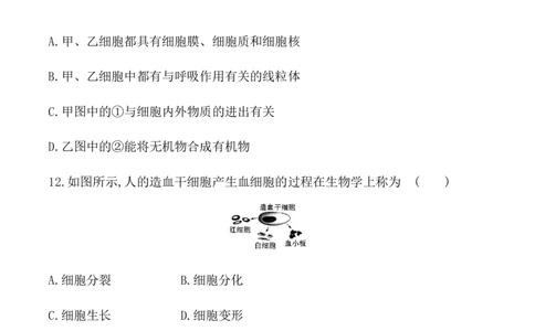期末冲刺卷1-（人教版）（原卷版）_初中全科电子版试卷练习试题_生物_生物人教版7上练习&mdash;24新版已更新_人教生物7年级上期末试卷11份