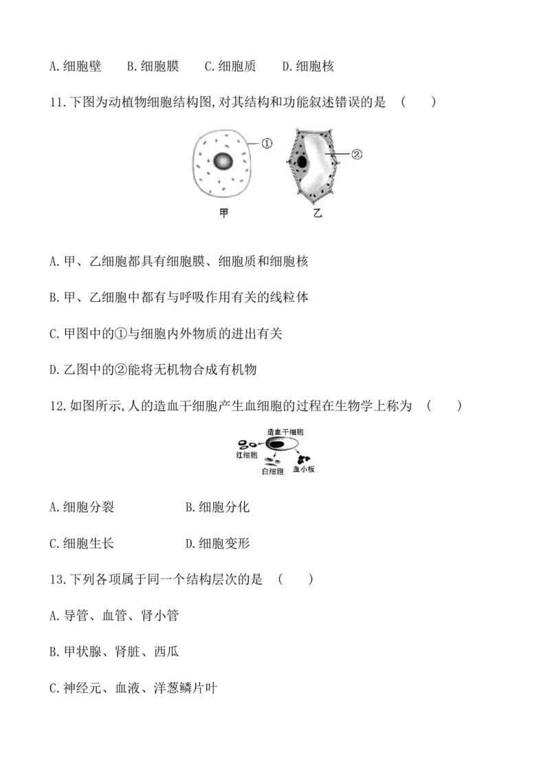 期末冲刺卷1-（人教版）（原卷版）_初中全科电子版试卷练习试题_生物_生物人教版7上练习&mdash;24新版已更新_人教生物7年级上期末试卷11份