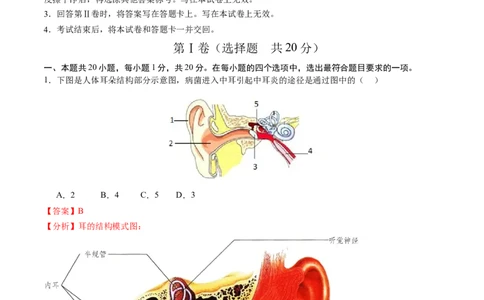 生物（甘肃卷）（全解全析）_初中全科电子版试卷练习试题_生物_2024中考模拟题生物(1)_二模_生物（甘肃卷）-：2024年中考第二次模拟考试