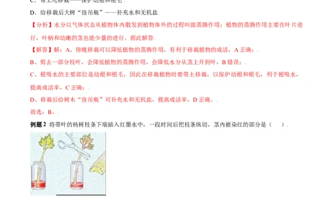 必考点19绿色植物与生物圈的水循环-（人教版）（解析版）_初中全科电子版试卷练习试题_生物_生物人教版7上练习&mdash;24新版已更新_人教生物7年级上专项练习28份