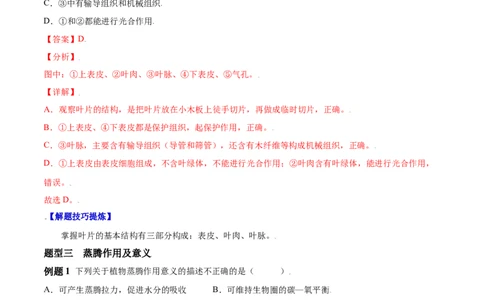 必考点19绿色植物与生物圈的水循环-（人教版）（解析版）_初中全科电子版试卷练习试题_生物_生物人教版7上练习&mdash;24新版已更新_人教生物7年级上专项练习28份