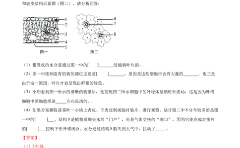必考点19绿色植物与生物圈的水循环-（人教版）（解析版）_初中全科电子版试卷练习试题_生物_生物人教版7上练习&mdash;24新版已更新_人教生物7年级上专项练习28份