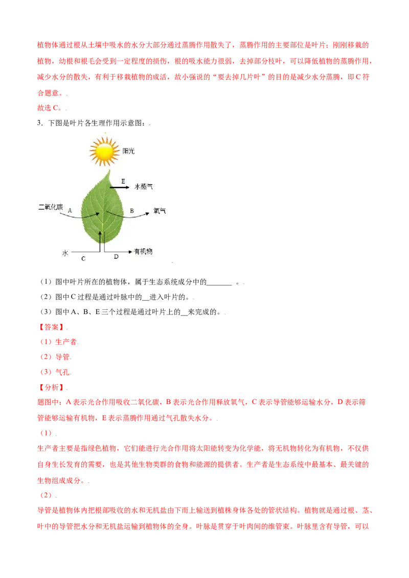 必考点19绿色植物与生物圈的水循环-（人教版）（解析版）_初中全科电子版试卷练习试题_生物_生物人教版7上练习&mdash;24新版已更新_人教生物7年级上专项练习28份