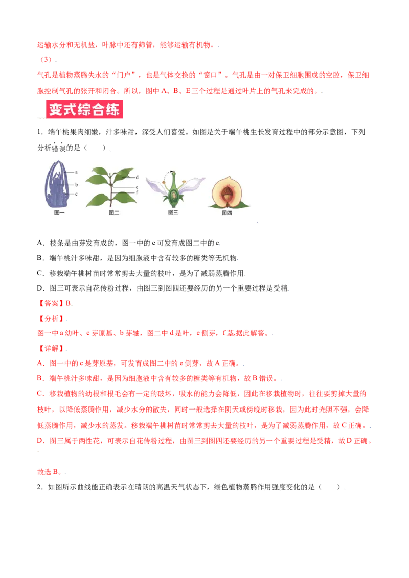 必考点19绿色植物与生物圈的水循环-（人教版）（解析版）_初中全科电子版试卷练习试题_生物_生物人教版7上练习&mdash;24新版已更新_人教生物7年级上专项练习28份