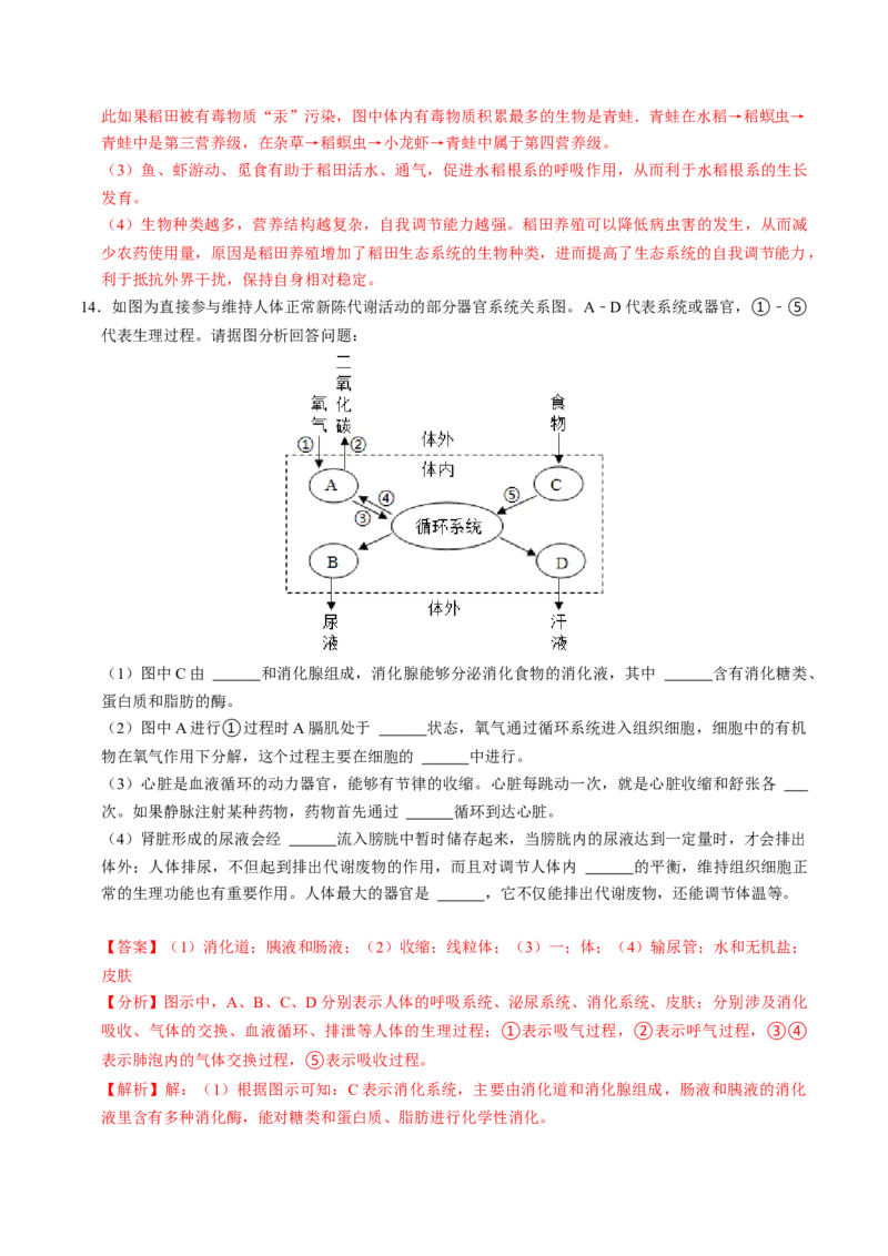 生物（贵阳卷）（全解全析）_初中全科电子版试卷练习试题_生物_2024中考模拟题生物(1)_二模_生物（贵阳卷）-：2024年中考第二次模拟考试