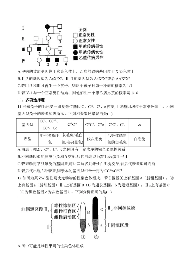 专题6遗传的基本规律（选择题）&mdash;&mdash;2025届高考生物学模块分练新高考版（含解析）_2025年新高考资料_二轮复习_新高考版2025届高考生物学模块分练选择题与非选择题（含解析）