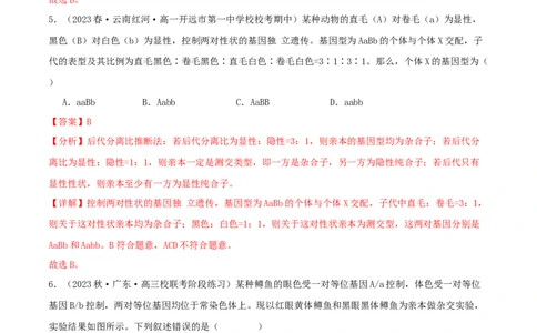 专题综合练04遗传规律及其应用(解析版)_新高考复习资料_2024年新高考复习资料_一轮复习资料_完备战2024年高考生物一轮复习考点帮（新高考）_必修2