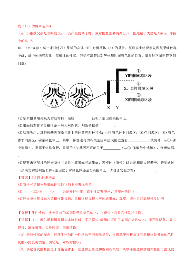 专题综合练04遗传规律及其应用(解析版)_新高考复习资料_2024年新高考复习资料_一轮复习资料_完备战2024年高考生物一轮复习考点帮（新高考）_必修2