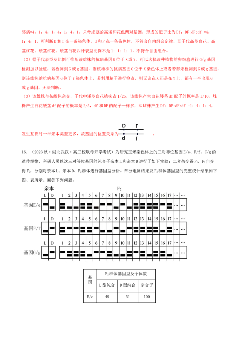 专题综合练04遗传规律及其应用(解析版)_新高考复习资料_2024年新高考复习资料_一轮复习资料_完备战2024年高考生物一轮复习考点帮（新高考）_必修2