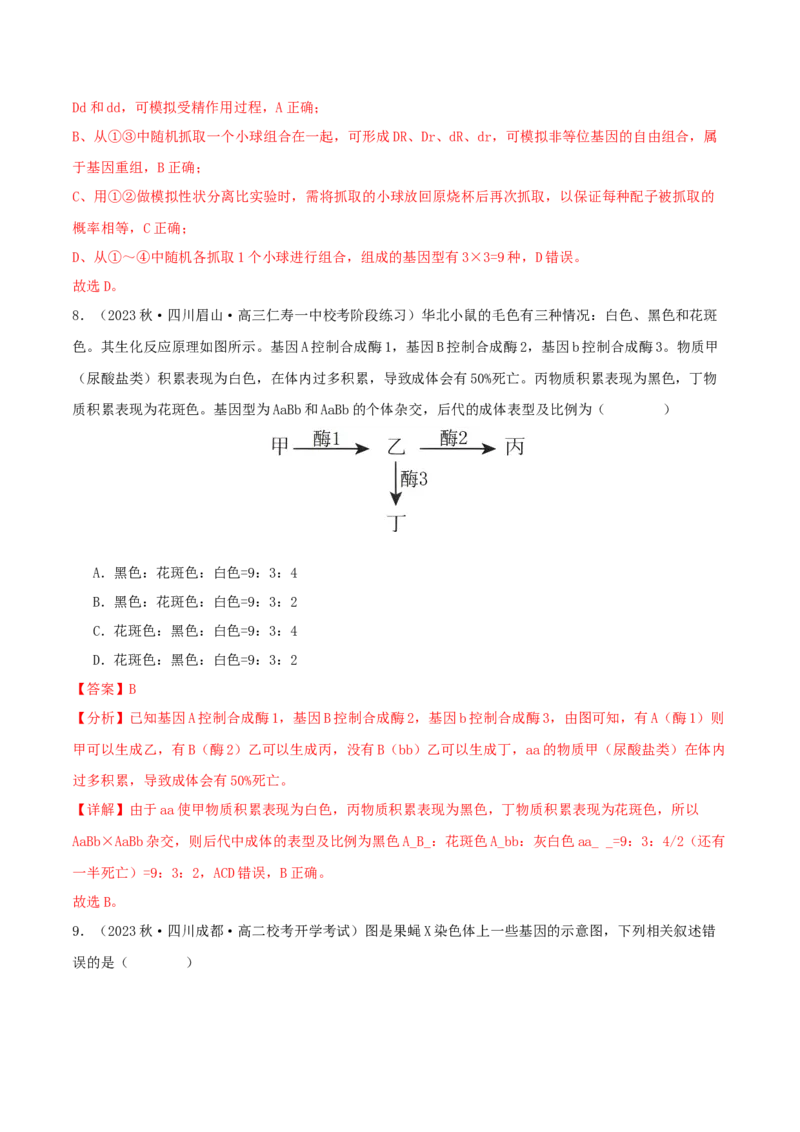 专题综合练04遗传规律及其应用(解析版)_新高考复习资料_2024年新高考复习资料_一轮复习资料_完备战2024年高考生物一轮复习考点帮（新高考）_必修2