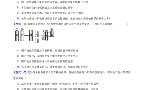 专题六生物的变异与进化（原卷版）_2025年新高考资料_二轮复习_01高考语文等多个文件_举一反三2025年高考生物二轮重点专题讲义（新高考通用）
