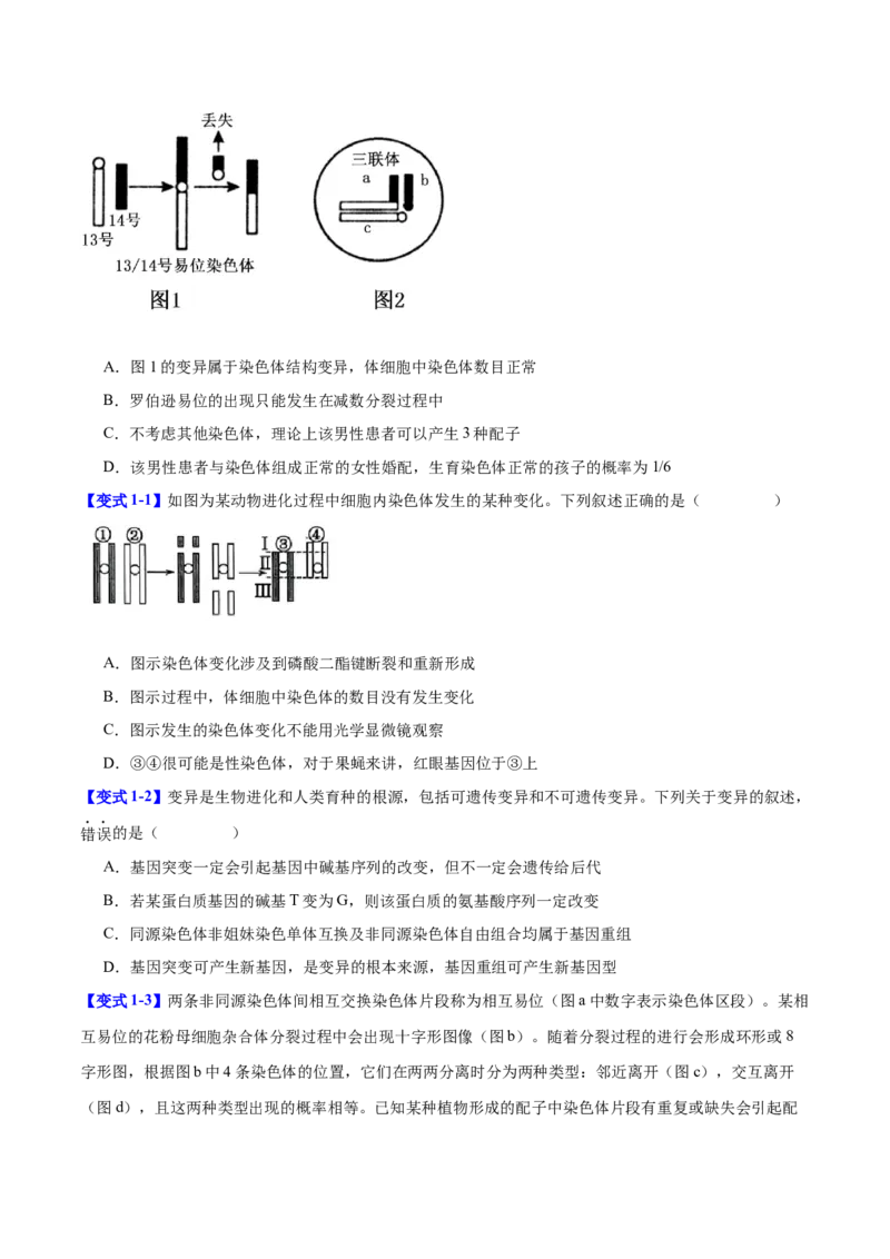 专题六生物的变异与进化（原卷版）_2025年新高考资料_二轮复习_01高考语文等多个文件_举一反三2025年高考生物二轮重点专题讲义（新高考通用）
