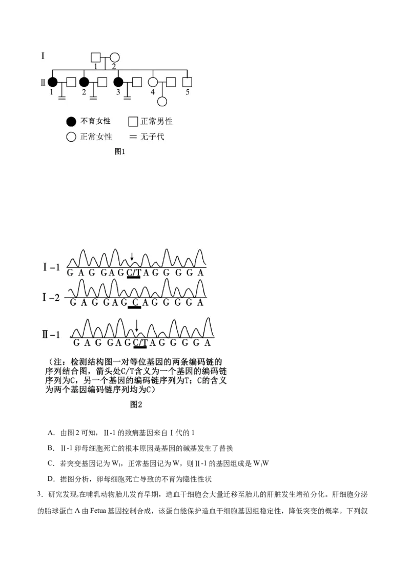 专题六生物的变异与进化（原卷版）_2025年新高考资料_二轮复习_01高考语文等多个文件_举一反三2025年高考生物二轮重点专题讲义（新高考通用）