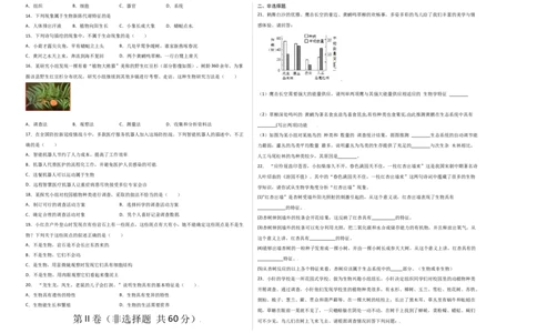 第1单元（第1章）认识生物（选拔卷）（人教版）（考试版）_初中全科电子版试卷练习试题_生物_生物人教版7上练习&mdash;24新版已更新_人教生物7年级上单元试卷36份
