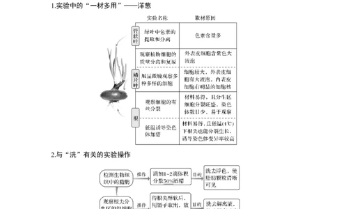 专题八实验与探究（原卷版）_新高考复习资料_2023年新高考复习资料_二轮复习_过二轮备战2023年高考生物二轮专题剖析与综合训练（新教材）
