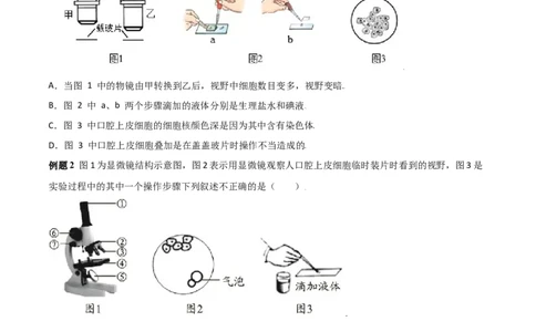 必考点08动物细胞-（人教版）（原卷版）_初中全科电子版试卷练习试题_生物_生物人教版7上练习&mdash;24新版已更新_人教生物7年级上专项练习28份