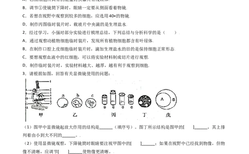 必考点08动物细胞-（人教版）（原卷版）_初中全科电子版试卷练习试题_生物_生物人教版7上练习&mdash;24新版已更新_人教生物7年级上专项练习28份