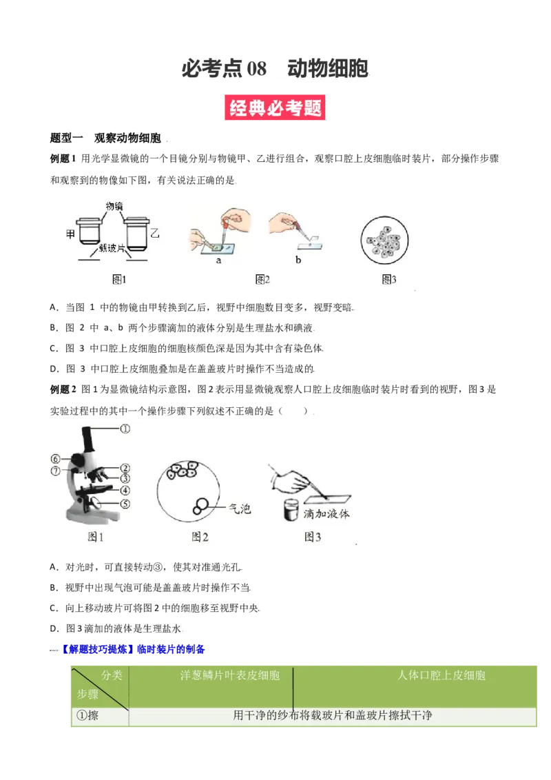 必考点08动物细胞-（人教版）（原卷版）_初中全科电子版试卷练习试题_生物_生物人教版7上练习&mdash;24新版已更新_人教生物7年级上专项练习28份