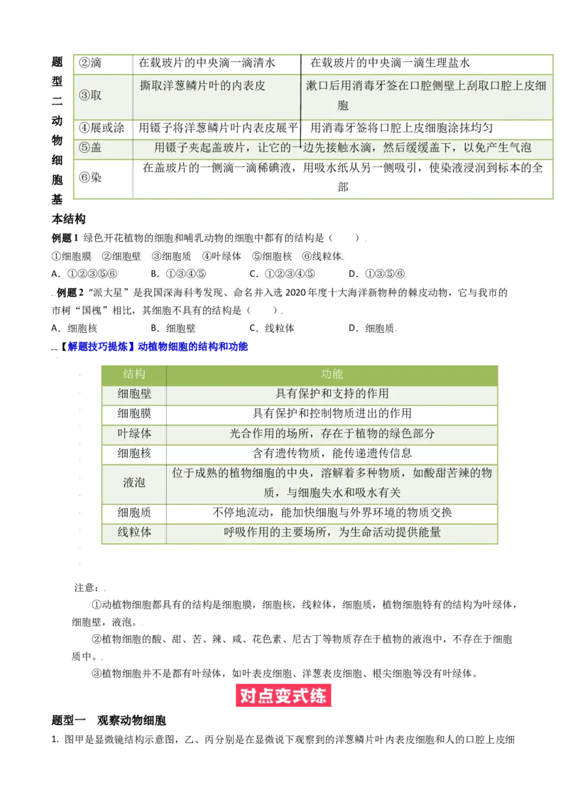 必考点08动物细胞-（人教版）（原卷版）_初中全科电子版试卷练习试题_生物_生物人教版7上练习&mdash;24新版已更新_人教生物7年级上专项练习28份