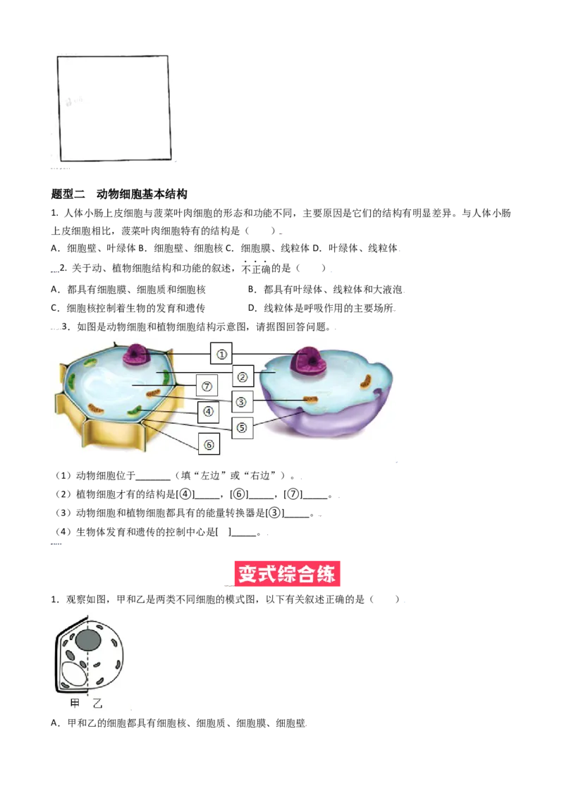 必考点08动物细胞-（人教版）（原卷版）_初中全科电子版试卷练习试题_生物_生物人教版7上练习&mdash;24新版已更新_人教生物7年级上专项练习28份