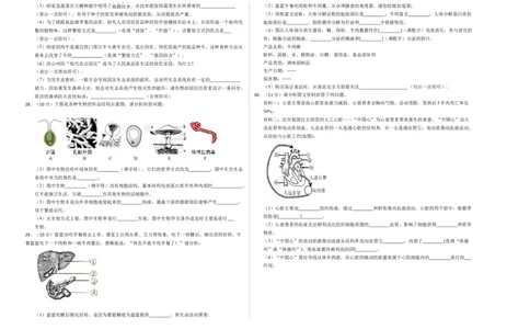 生物（全国卷）（考试版A3）_初中全科电子版试卷练习试题_生物_2024中考模拟题生物(1)_三模（37套）_生物（全国卷）