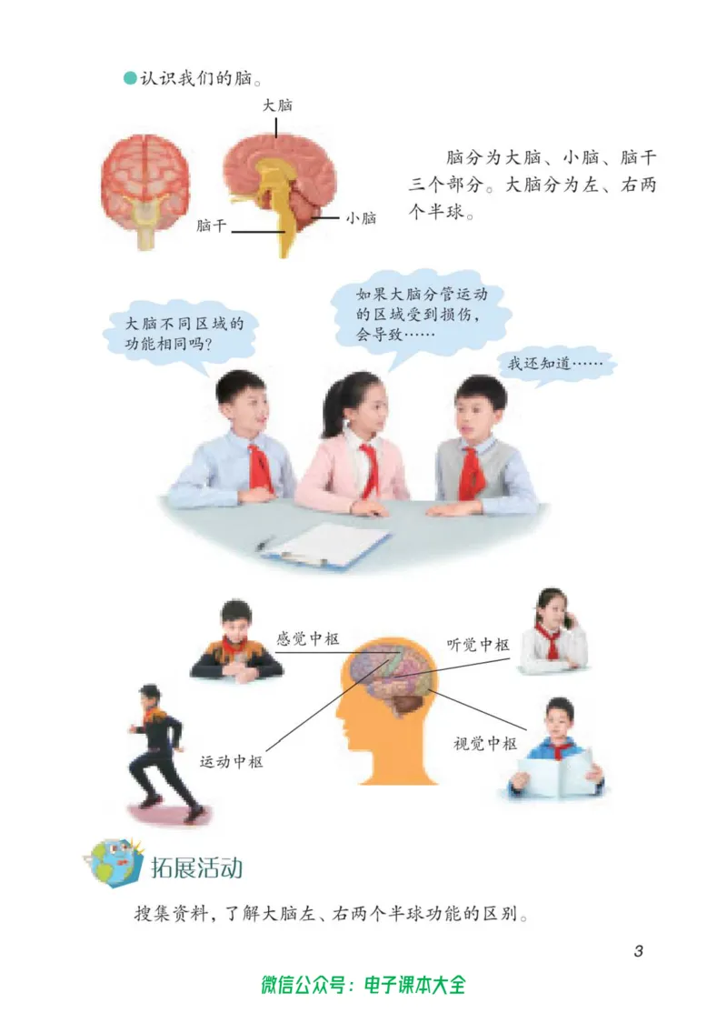 05六制五下科学_电子课本_小学电子课本_05科学_青岛版（63、54版）_小学科学青岛六三制1-6下册
