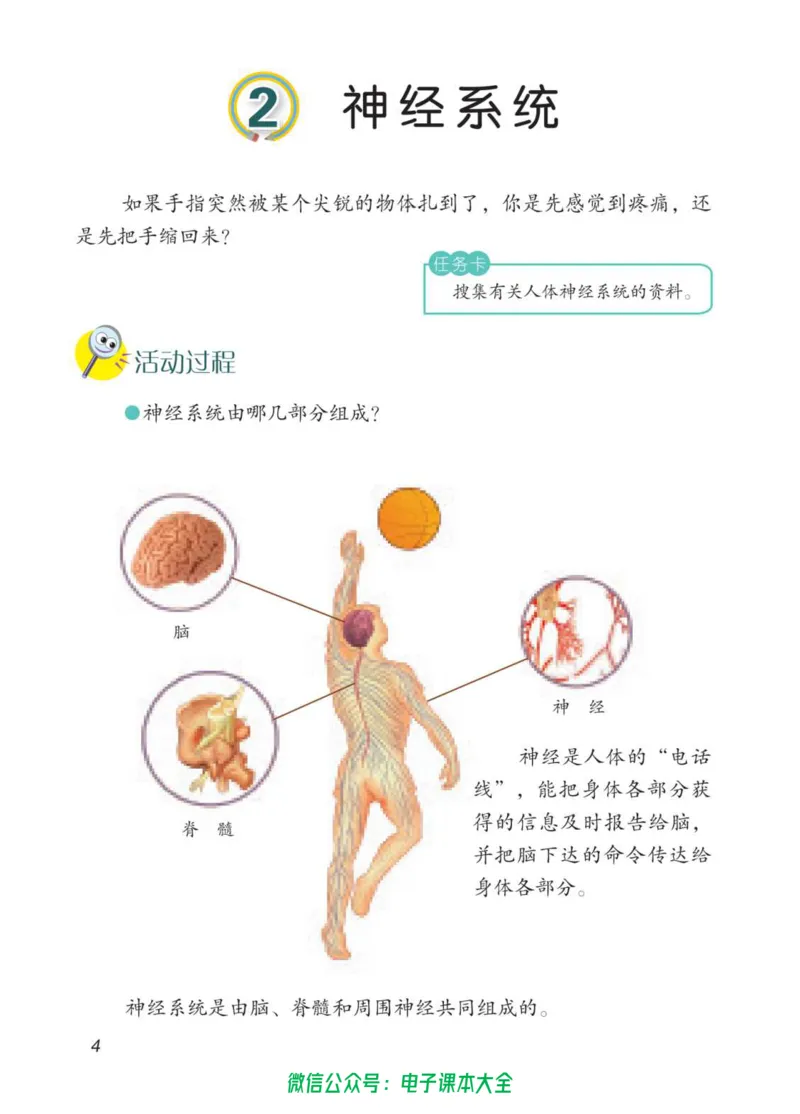 05六制五下科学_电子课本_小学电子课本_05科学_青岛版（63、54版）_小学科学青岛六三制1-6下册