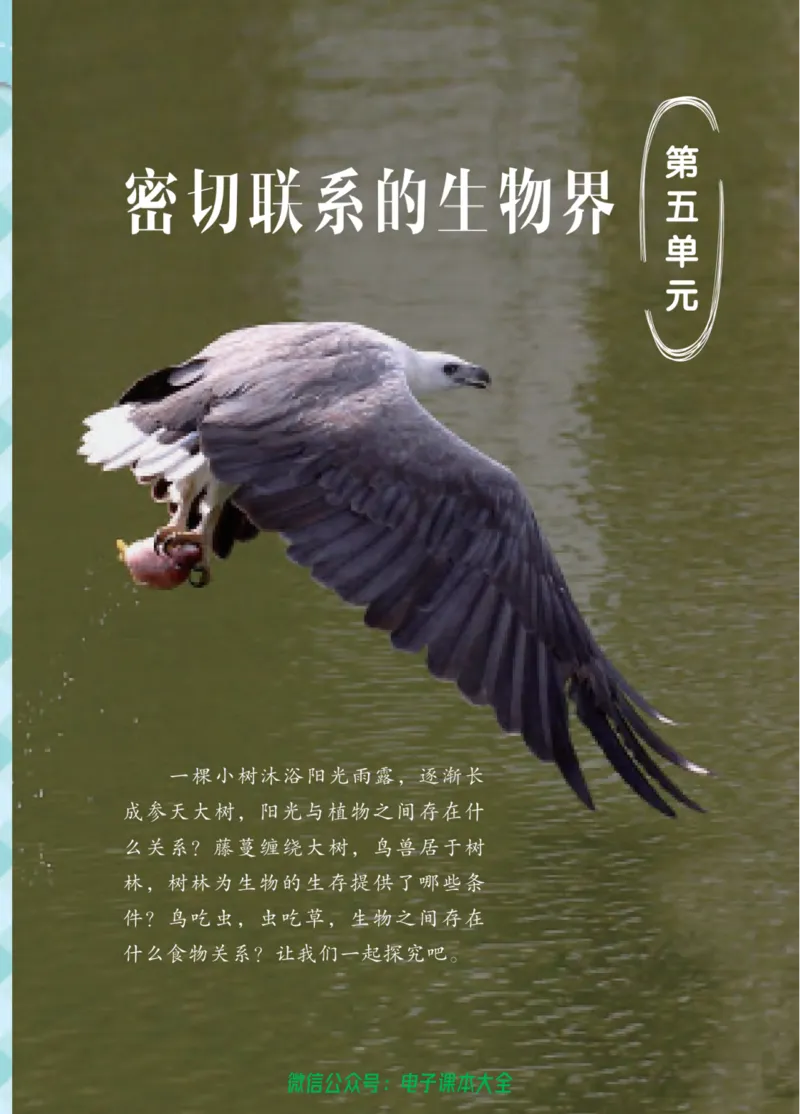 05六制五下科学_电子课本_小学电子课本_05科学_青岛版（63、54版）_小学科学青岛六三制1-6下册