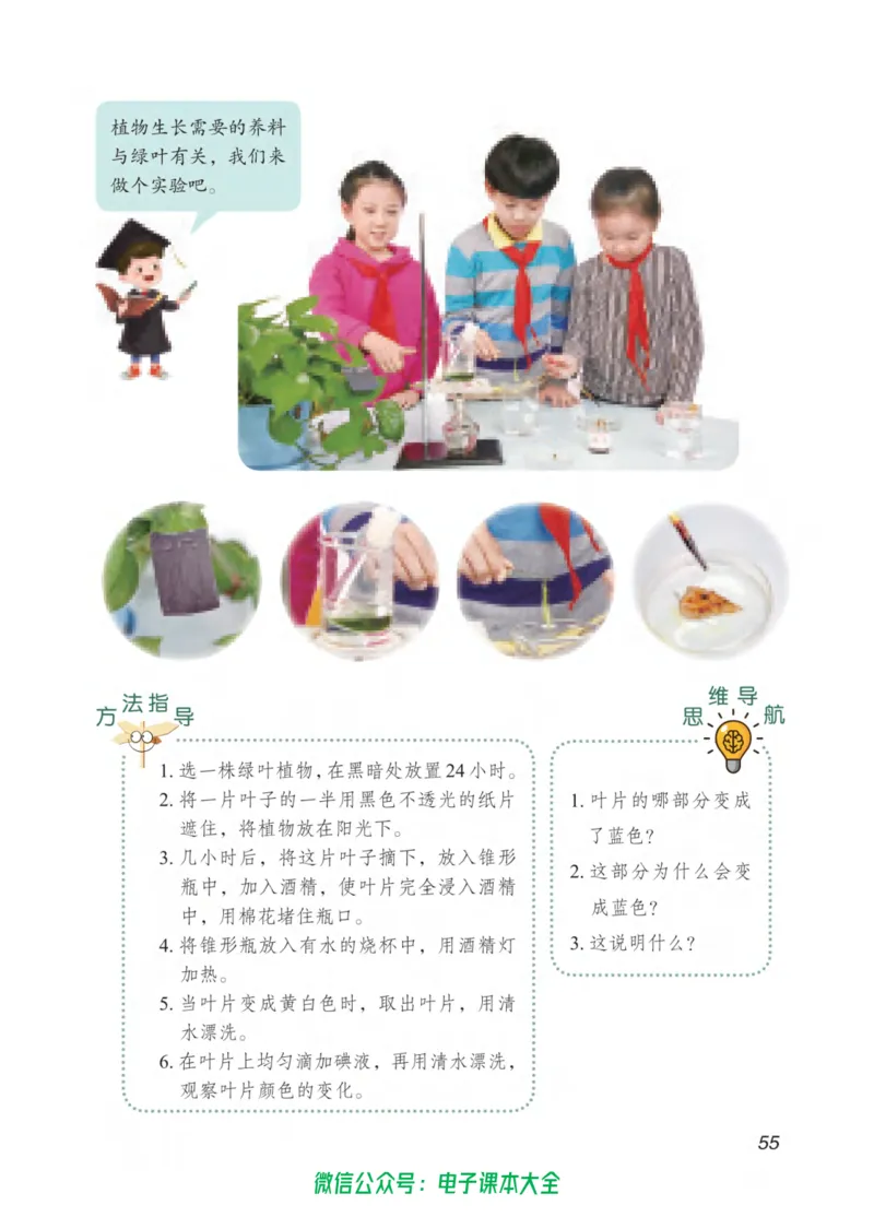 05六制五下科学_电子课本_小学电子课本_05科学_青岛版（63、54版）_小学科学青岛六三制1-6下册