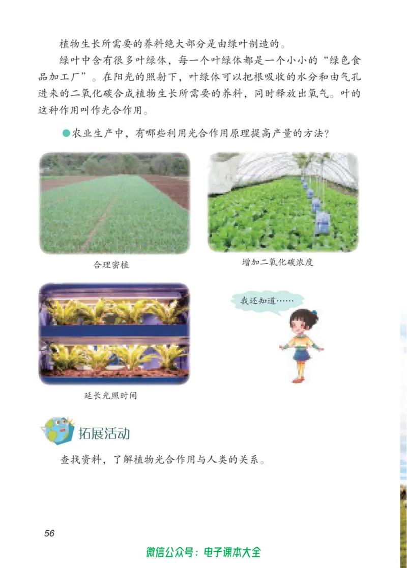 05六制五下科学_电子课本_小学电子课本_05科学_青岛版（63、54版）_小学科学青岛六三制1-6下册