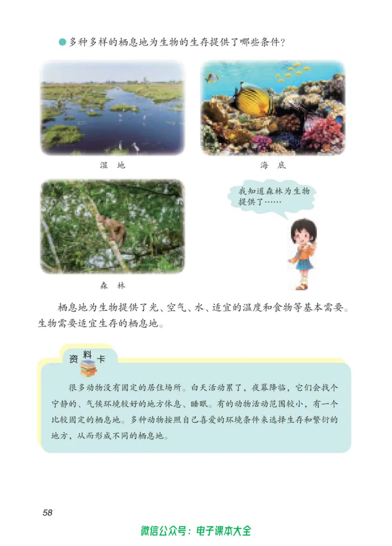 05六制五下科学_电子课本_小学电子课本_05科学_青岛版（63、54版）_小学科学青岛六三制1-6下册