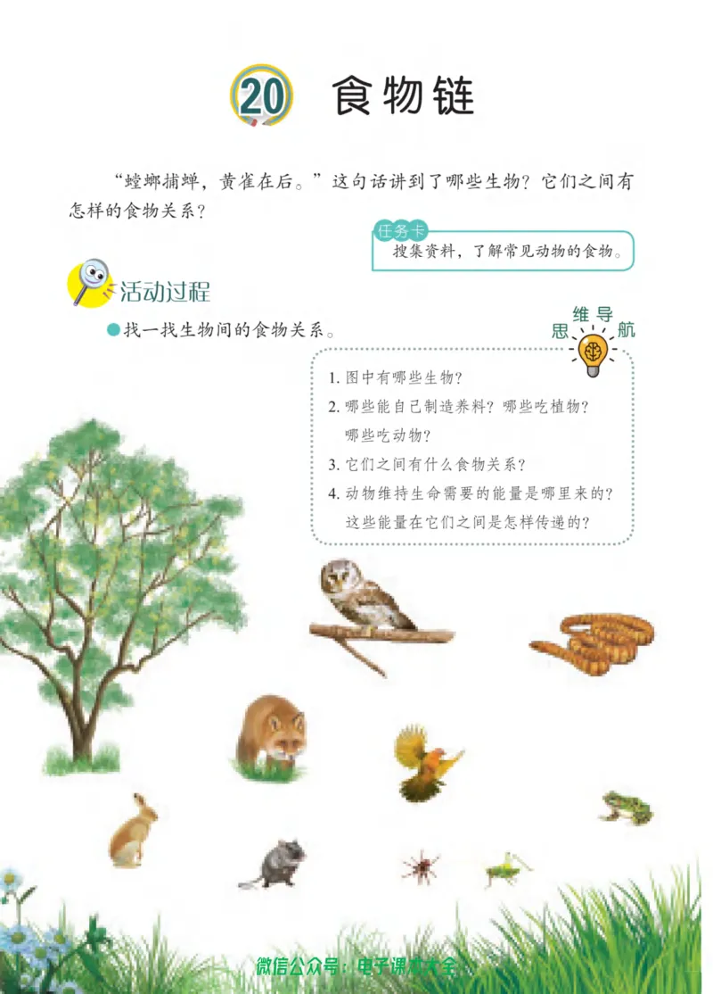 05六制五下科学_电子课本_小学电子课本_05科学_青岛版（63、54版）_小学科学青岛六三制1-6下册