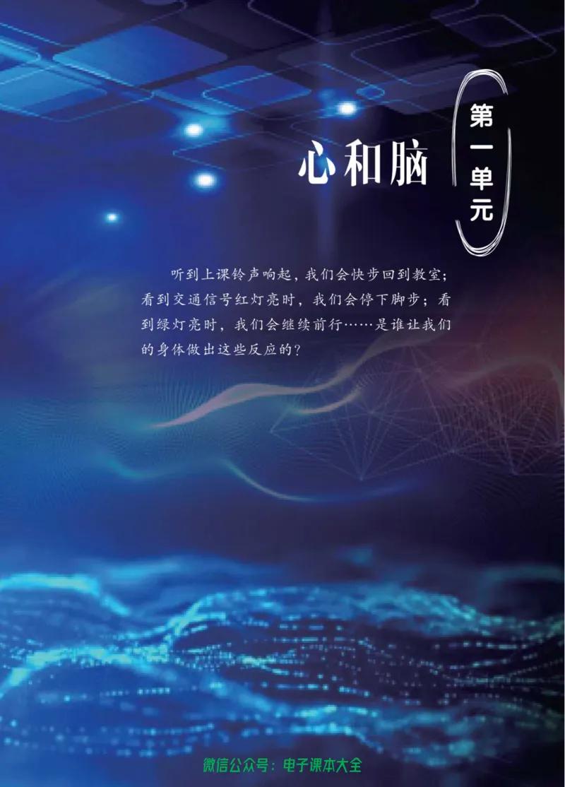 05六制五下科学_电子课本_小学电子课本_05科学_青岛版（63、54版）_小学科学青岛六三制1-6下册