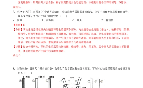 生物（深圳卷）（全解全析）_初中全科电子版试卷练习试题_生物_2024中考模拟题生物(1)_二模_生物（深圳卷）-：2024年中考第二次模拟考试